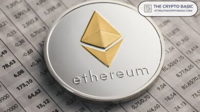 Métrica On-chain de Ethereum Muestra Señales Positivas a Pesar de la Reciente Caída de Precios - Descubre Más - Cripto Boom