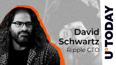 40055ce2755a3ecdb44a CTO de Ripple: Descubre por Qué No Importa lo que Satoshi Quería para Bitcoin