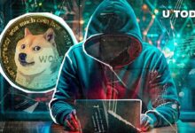 Cofundador de Dogecoin Rompe el Silencio sobre la Rentabilidad de las Criptomonedas Meme: ¿Estás Listo para Descubrir más? - Cripto Boom