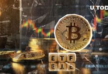 41ed6220fd5080012236 ¡$500 Millones en Bitcoin en 24 Horas: ETFs Despiertan!