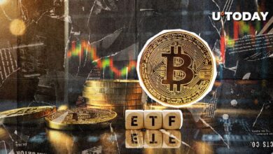 41ed6220fd5080012236 ¡$500 Millones en Bitcoin en 24 Horas: ETFs Despiertan!