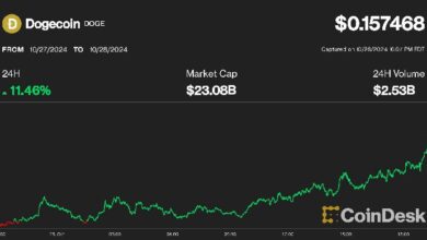 Dogecoin Sube un 10% por Popularidad de Trump, mientras Bitcoin se Acerca a $70K: Descubre Más - Cripto Boom