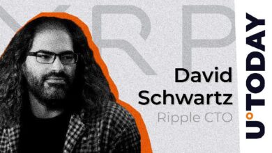 44534f570c1df7231c9b El CTO de Ripple Se Burla de la SEC con Reciente Tweet Temático de Tesla: ¡Descubre los Detalles!