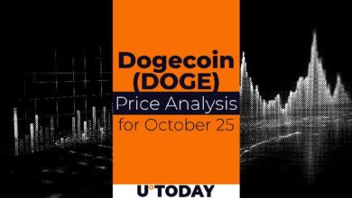 454578c5f2a818903200 ¡Descubre la Predicción del Precio de DOGE para el 25 de Octubre!