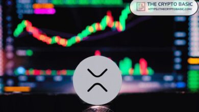 Experto Predice Fondo de XRP 31 Semanas Después del Halving de Bitcoin: ¿Recuperación Hacia $26? ¡Descúbrelo! - Cripto Boom