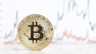 El precio de Bitcoin apunta a $88,000 para fin de año: ¿Estás listo para el gran salto? - Cripto Boom