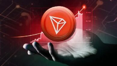 4716d7347b15cde1edb6 ¡Descubre cómo TRON Supera a BTC, ETH y XRP en Ingresos del Tercer Trimestre!