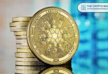 Analista Afirma: Críticas a Cardano Abundan, pero el Próximo Objetivo es $5 - ¡Descubre Más! - Cripto Boom