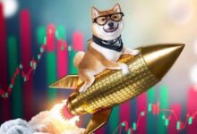 La Mayoría de los Inversores en Dogecoin Obtienen Ganancias Después del Impulso de Elon Musk: ¡Descubre Más! - Cripto Boom