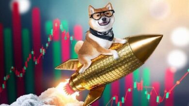 La Mayoría de los Inversores en Dogecoin Obtienen Ganancias Después del Impulso de Elon Musk: ¡Descubre Más! - Cripto Boom