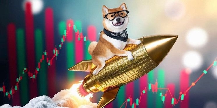 La Mayoría de los Inversores en Dogecoin Obtienen Ganancias Después del Impulso de Elon Musk: ¡Descubre Más! - Cripto Boom