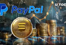 ¿Solana supera a PayPal? Estrella cripto alcanza un valor de mercado de $83.5 mil millones - Descubre más aquí - Cripto Boom