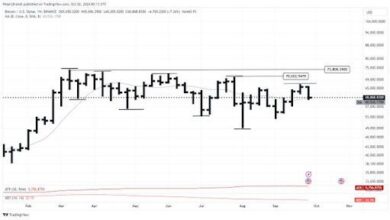 ¡Analistas Apuntan a Este Nivel a Corto Plazo para Bitcoin! Descubre los Detalles - Cripto Boom