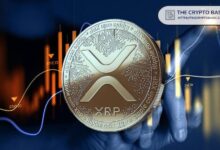 Descubre la Única Razón por la que el Precio de XRP Explotará - ¡No te lo Pierdas! - Cripto Boom