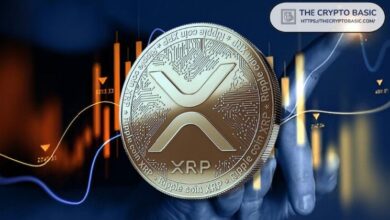 Descubre la Única Razón por la que el Precio de XRP Explotará - ¡No te lo Pierdas! - Cripto Boom