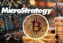 El ETF de MicroStrategy de T-Rex Muestra un Desempeño Impresionante - Descubre Más - Cripto Boom