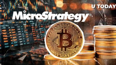 El ETF de MicroStrategy de T-Rex Muestra un Desempeño Impresionante - Descubre Más - Cripto Boom