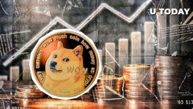 Dogecoin Cerca de un Raro Cruce Dorado tras un Año de Espera: Descubre Más - Cripto Boom