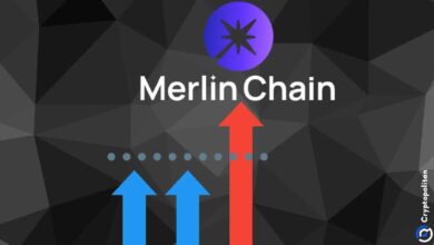 50b717485e3cc90d2d15 Merlin lidera las cadenas L2 de Bitcoin: Descubre por qué es la mejor opción