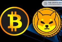 51527272003d718a4f25 Descubre el Precio de Shiba Inu si Alcanza solo el 10% del Mercado de Bitcoin