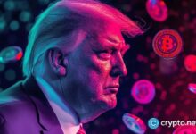 51cd610f32361f491de5 Usuarios de Polymarket compiten por apuesta de $50M en 'Trump coin': ¡Descubre quién lidera!