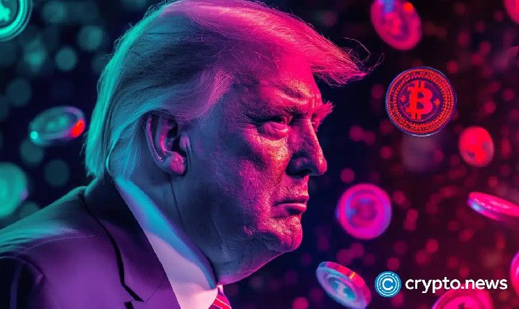 51cd610f32361f491de5 Usuarios de Polymarket compiten por apuesta de $50M en 'Trump coin': ¡Descubre quién lidera!