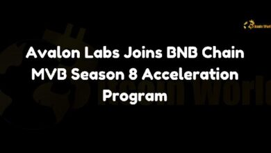 Avalon Labs se Une al Programa de Aceleración BNB Chain MVB Temporada 8 - Descubre los Detalles Aquí - Cripto Boom