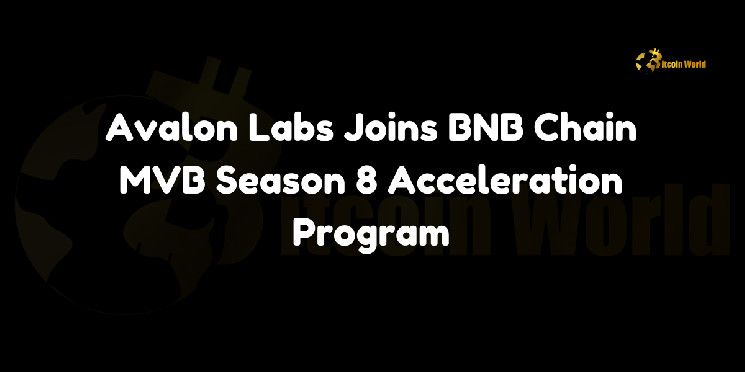 Avalon Labs se Une al Programa de Aceleración BNB Chain MVB Temporada 8 - Descubre los Detalles Aquí - Cripto Boom