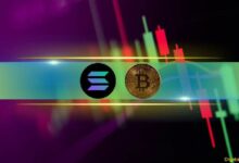 Observación del Mercado: Solana y Tron Desafían el Sentimiento Semanal, Bitcoin Tembloroso en $67K - ¡Descubre Más! - Cripto Boom