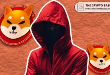 Líder de Shiba Inu Destaca Nueva Perspectiva y Advertencia para Este Token Emergente: ¡Conozca el Futuro de los Tokens de Utilidad! - Cripto Boom