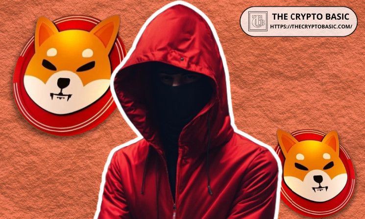 Líder de Shiba Inu Destaca Nueva Perspectiva y Advertencia para Este Token Emergente: ¡Conozca el Futuro de los Tokens de Utilidad! - Cripto Boom