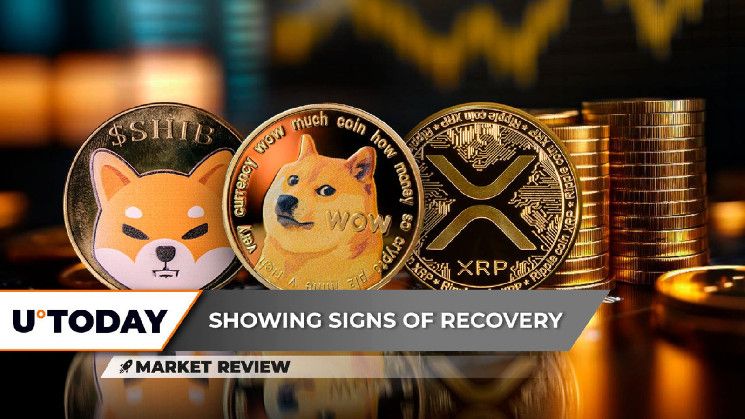 53e3a486cdabbf5bfab9 ¿Explosión de Shiba Inu (SHIB) en Puerta? Descubre 3 Niveles de Precio de Dogecoin (DOGE) Antes del Cambio y el Inicio de Recuperación de XRP