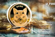 6 Trillones de Shiba Inu (SHIB) en 24 Horas: ¡Récord de Octubre Superado! - Cripto Boom