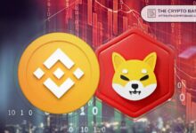 55aaca2e1482b3e86f38 Binance Promociona Shiba Inu: La Comunidad Reacciona con Entusiasmo y Nuevas Exigencias. ¡Descubre Más!