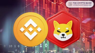 55aaca2e1482b3e86f38 Binance Promociona Shiba Inu: La Comunidad Reacciona con Entusiasmo y Nuevas Exigencias. ¡Descubre Más!