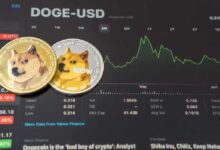 La IA predice el precio de DOGE para fin de año: ¡Descubre qué se espera! - Cripto Boom