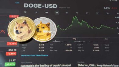 La IA predice el precio de DOGE para fin de año: ¡Descubre qué se espera! - Cripto Boom