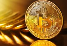 5772154b56a49d20c941 Los Osos de Bitcoin Pierden el Control: ¡El Volumen Neto de BTC se Vuelve Positivo, Descubre Más!