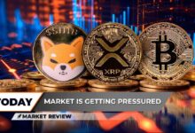 Avance del Cruce Dorado de Shiba Inu (SHIB): No Rompas este Nivel Clave de Soporte XRP, ¡Descubre por qué Bitcoin (BTC) Sigue Luchando! - Cripto Boom