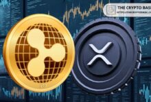 Experto Analiza el Papel de Ripple y XRP en el Mercado de Pagos Transfronterizos de $27 Trillones: ¡Descubre su Impacto! - Cripto Boom