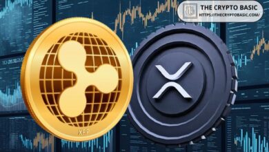 Experto Analiza el Papel de Ripple y XRP en el Mercado de Pagos Transfronterizos de $27 Trillones: ¡Descubre su Impacto! - Cripto Boom