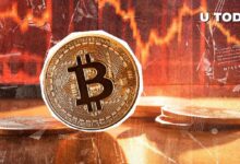 5858fb74cc9311bba96e El Volumen de Búsqueda de Bitcoin Alcanza un Nuevo Mínimo Anual: Descubre Por Qué Ahora