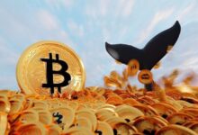 585cb20108bda8c5cdbe Ballena Gigante, que Acumuló $500 Millones en Bitcoin en los Últimos 4 Años, Toma Acción Tras el Aumento del Precio