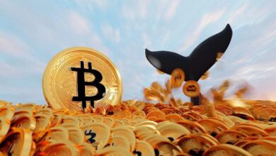 Ballena Gigante, que Acumuló $500 Millones en Bitcoin en los Últimos 4 Años, Toma Acción Tras el Aumento del Precio - Cripto Boom