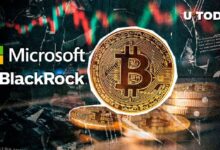 BlackRock Votará en la Decisión de Bitcoin de Microsoft, Revela Fred Krueger: ¡Descubre los Detalles! - Cripto Boom