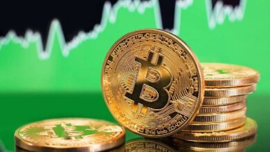 ¿Por Qué Aumenta el Precio de Bitcoin? Analista Revela Tres Razones y lo Que Esperar a Continuación - Descúbrelo Ahora - Cripto Boom