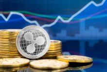 Descubre cuándo explotará el precio de XRP, según analista - Cripto Boom