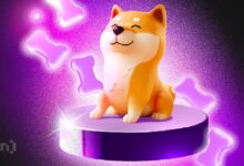 Precio de Shiba Inu (SHIB) en la Incertidumbre: ¡Descubre el Impacto de los Movimientos de las Ballenas! - Cripto Boom