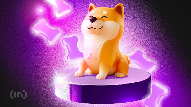 Precio de Shiba Inu (SHIB) en la Incertidumbre: ¡Descubre el Impacto de los Movimientos de las Ballenas! - Cripto Boom