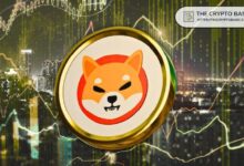 Descubre el Auge del 33,774,726% de Shiba Inu: Supera a BTC y Otros Activos en la Última Década - Cripto Boom